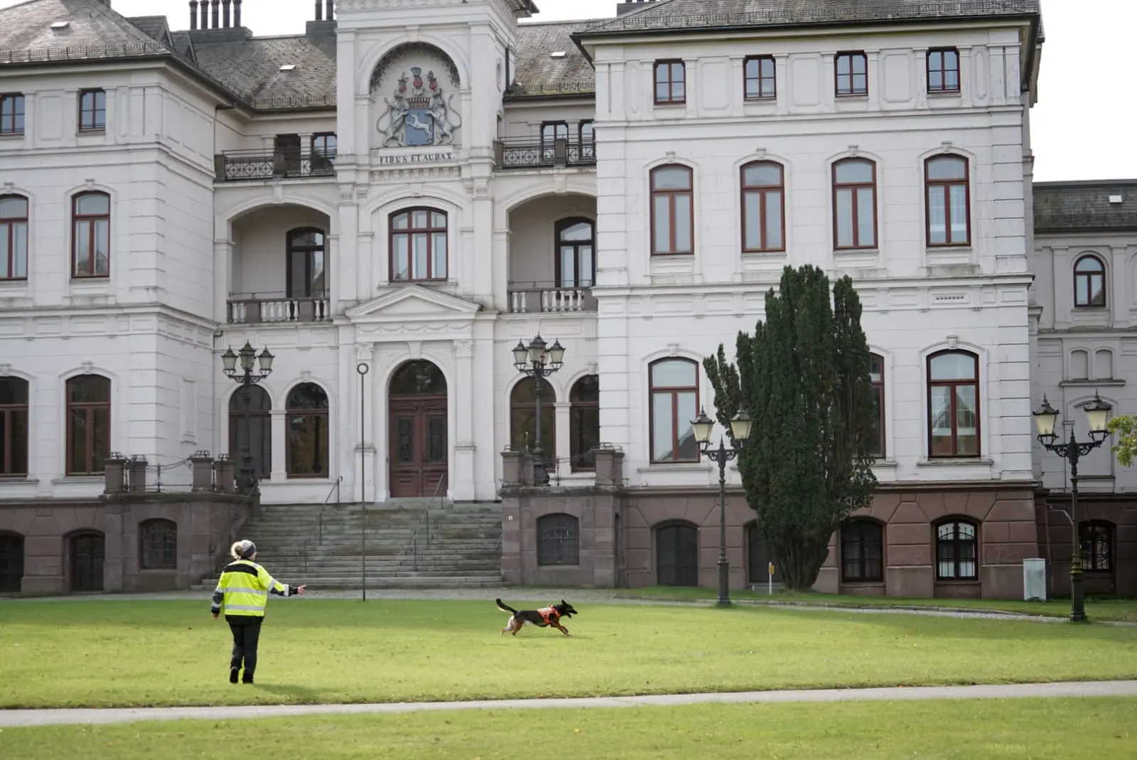 Bild 6