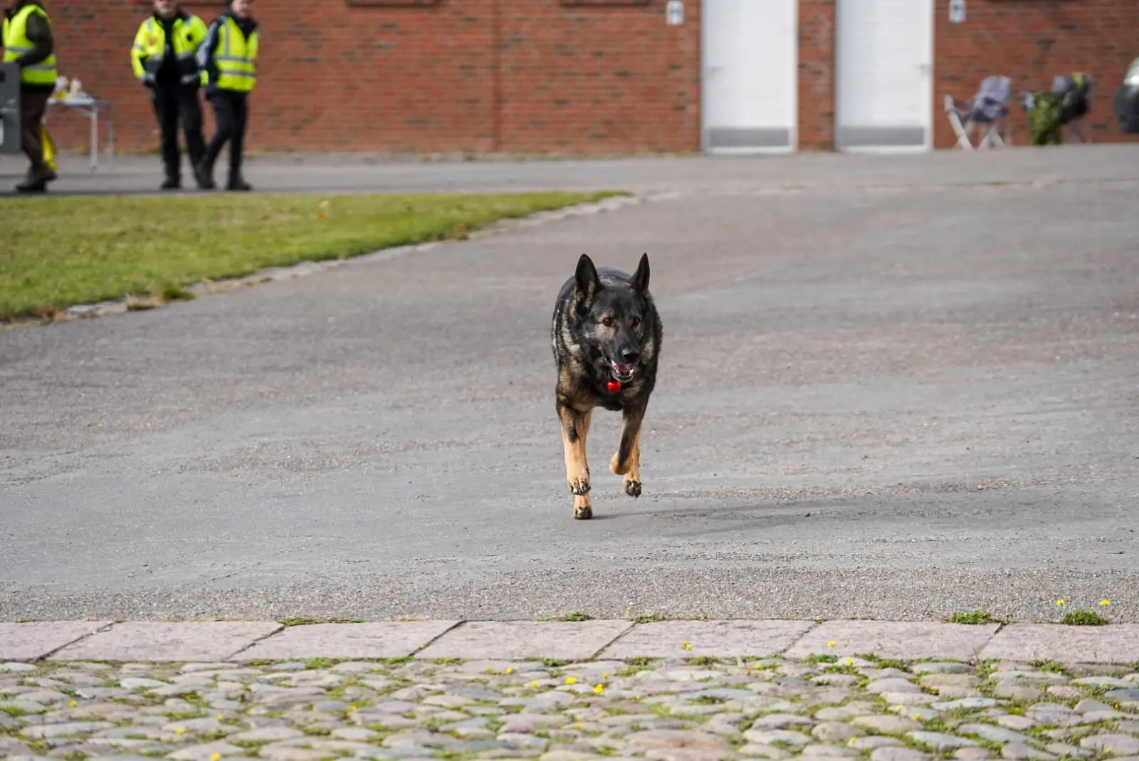 Bild 7