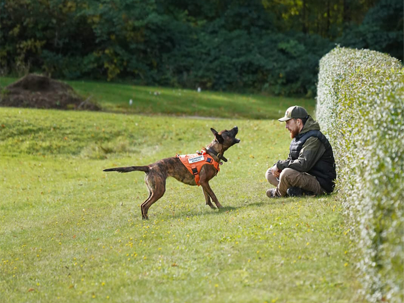 Ein Suchhund, der eine Vermisste Person gefunden hat