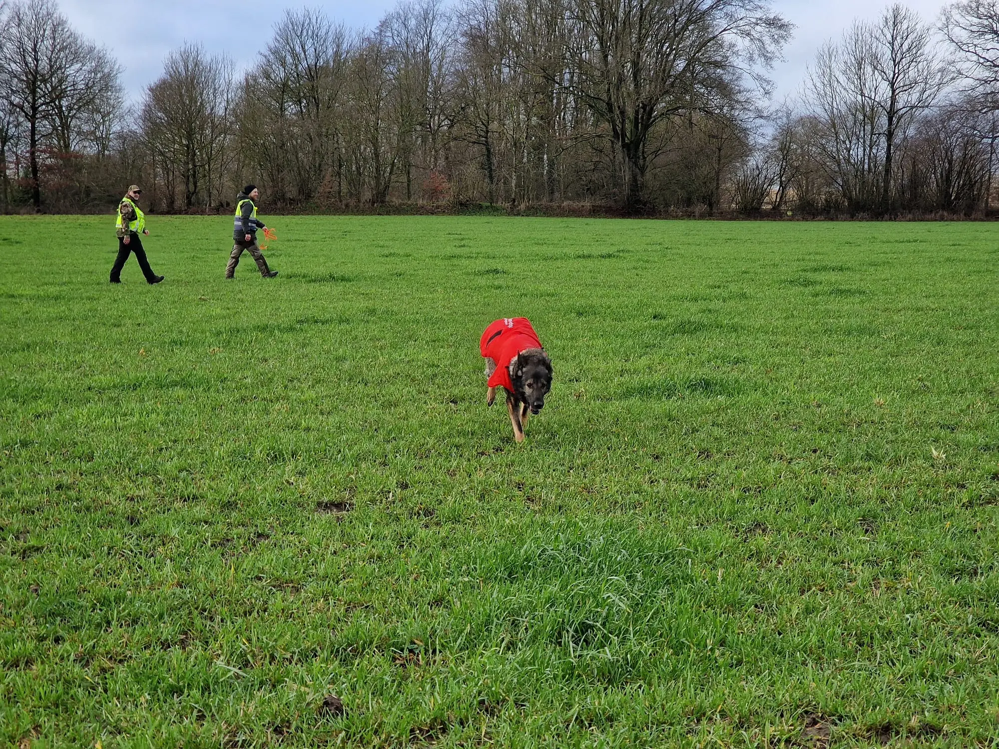 Bild 10